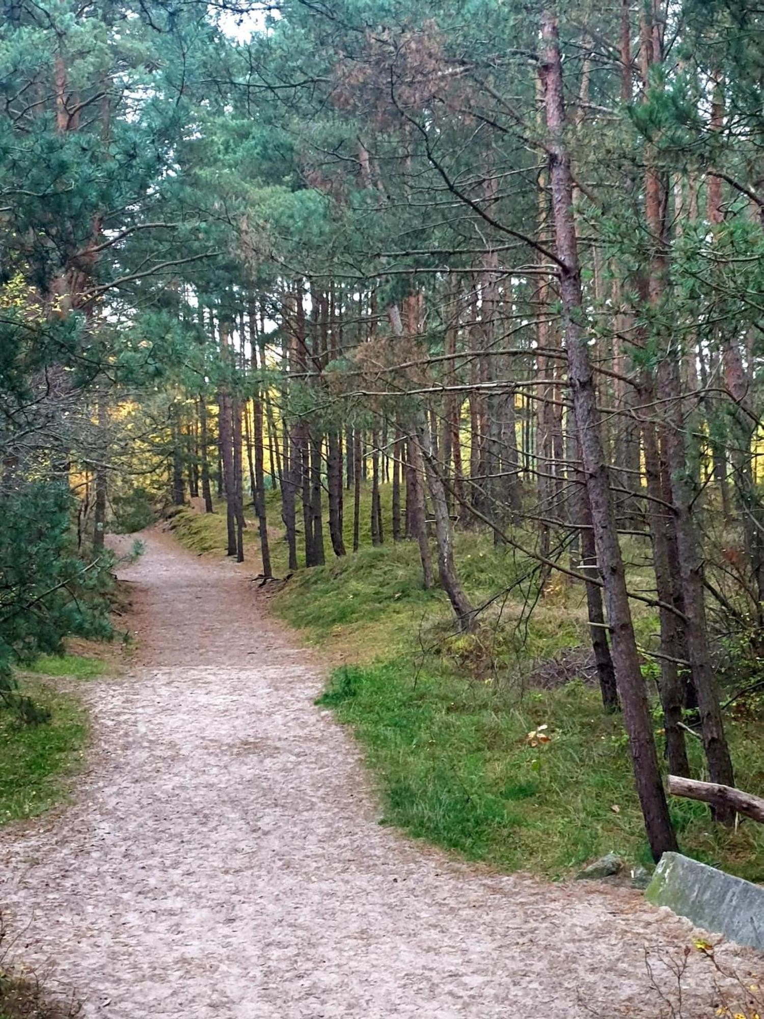 Huoneisto Bursztynowe Tarasy - Gdańsk